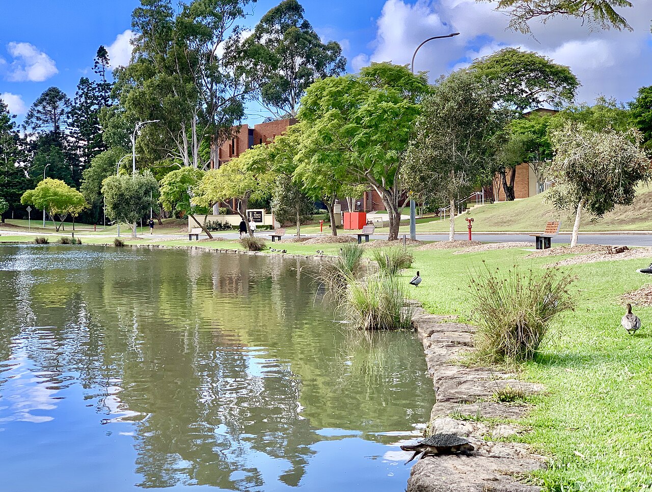 A lake on the University of Queensland St Lucia campus